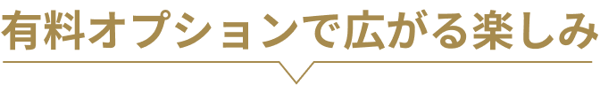 優良オプションで広がる楽しみ