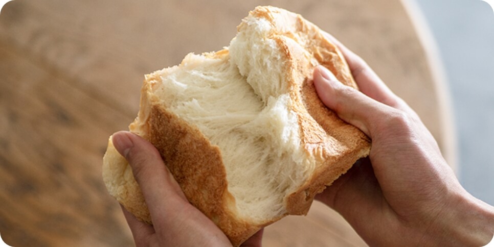 フードのみコース