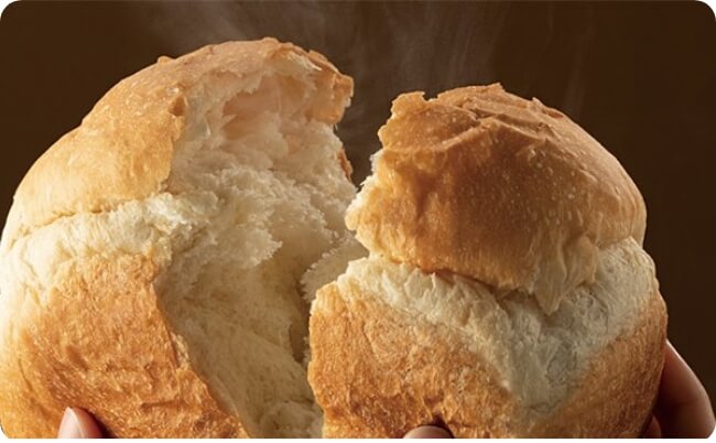 フードのみコース