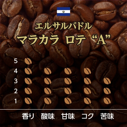 コーヒー豆