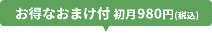 お得なおまけ付初月980円（税込）