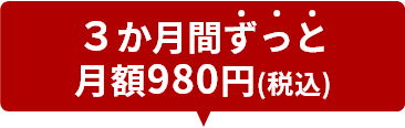 3か月間ずっと月額980円（税込）