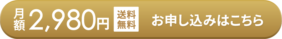 月額2,980円 お申込みはコチラ