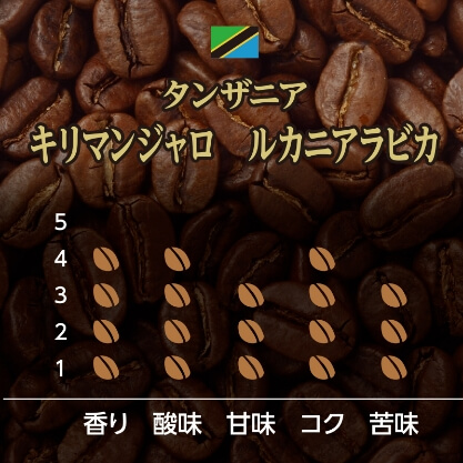 コーヒー豆