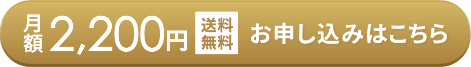 月額2,200円 お申込みはコチラ